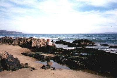 Strand in Tom