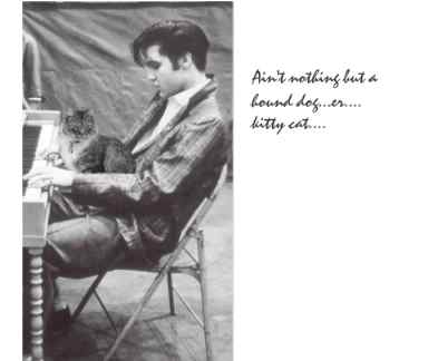elvis.JPG (9696 bytes)