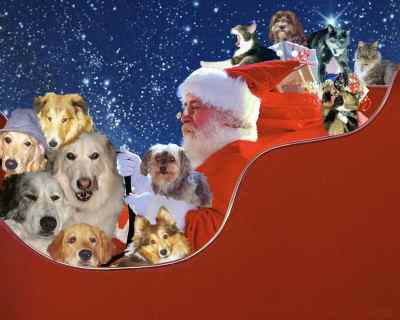 merry_christmas.JPG (13927 bytes)