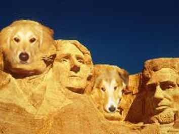 rushmore.JPG (8759 bytes)
