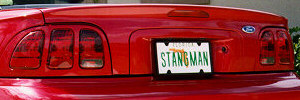 Stangman.jpg (17522 bytes)