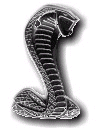 Cobra ssssnake