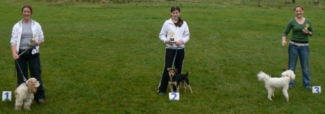 Small Dogs' Winners