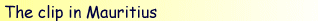 t_murice.gif (3149 bytes)