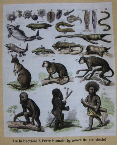 cha&icirc;non manquant