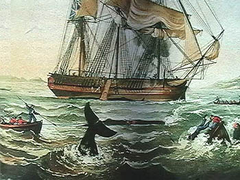 Moby Dick subissant la haine des hommes