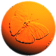 /user/butterflyball.gif