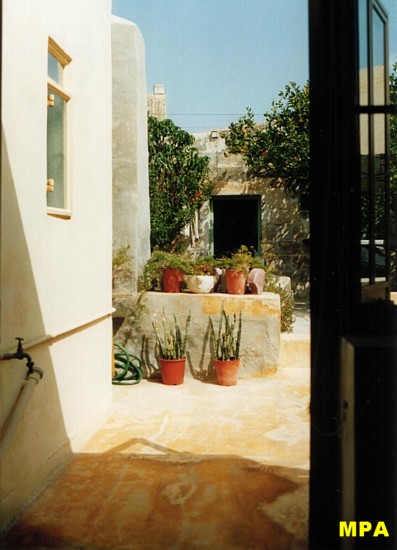 Uncle Angelu's back garden