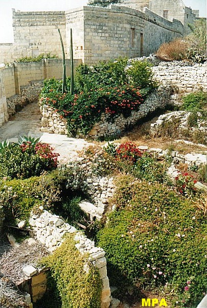 Meditteranean Garden