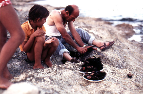 Opening up the "rizzi"