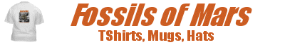 Fossils of Mars TShirts, Hats, Mugs