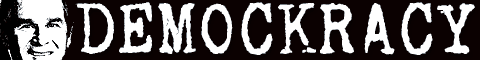 PunkVoter.Com website