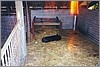 ballarat_bekindtoanimals.jpg