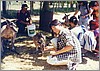 ballarat_bekindtoanimals2.jpg