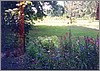 ballarat_flowers.jpg