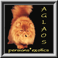 Aglaos CZ 