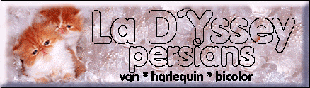 La D'Yssey  CZ