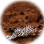Death on Mars