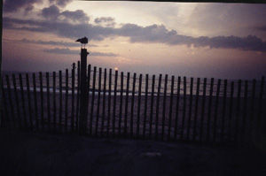 /user/Sunrise.jpg
