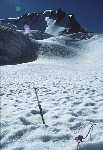Gran Paradiso northface
