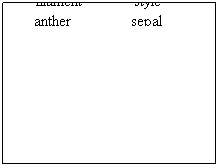 Text Box: Word Bank
pistil&nbsp;&nbsp;&nbsp;&nbsp;&nbsp;&nbsp;&nbsp;&nbsp;&nbsp;&nbsp;&nbsp;&nbsp;&nbsp;&nbsp;&nbsp;&nbsp; petal
stamen&nbsp;&nbsp;&nbsp;&nbsp;&nbsp;&nbsp;&nbsp;&nbsp;&nbsp;&nbsp;&nbsp;&nbsp;&nbsp; stigma
ovary&nbsp;&nbsp;&nbsp;&nbsp;&nbsp;&nbsp;&nbsp;&nbsp;&nbsp;&nbsp;&nbsp;&nbsp;&nbsp;&nbsp;&nbsp; ovule
filament             style
anther&nbsp;&nbsp;&nbsp;&nbsp;&nbsp;&nbsp;&nbsp;&nbsp;&nbsp;&nbsp;&nbsp;&nbsp;&nbsp;&nbsp; sepal
&nbsp;

