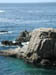 Coastline7