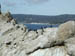Cormorants2