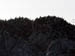 Cormorants4