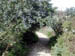 DSCN5036