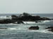 PointLobos1