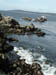 PointLobos11