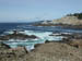 PointLobos3