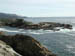 PointLobos6