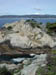 PointLobos7