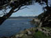 PointLobos9