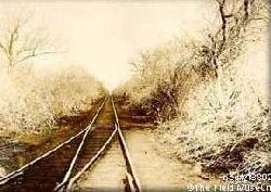 Railroad and Thorny Wilderness