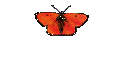 Calender