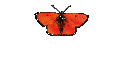applications