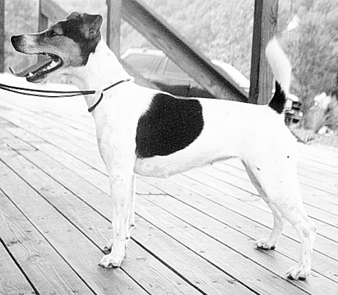 Smoky Mountain Crash