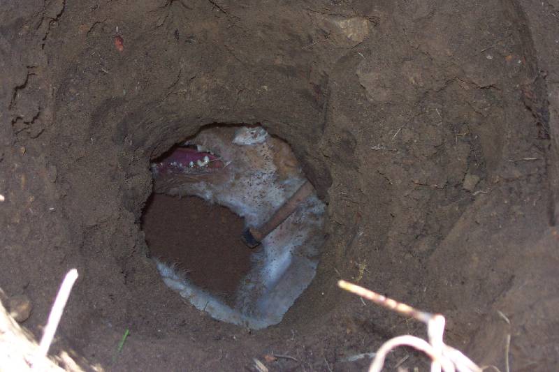 isaac works a groundhog
