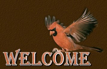 welcome