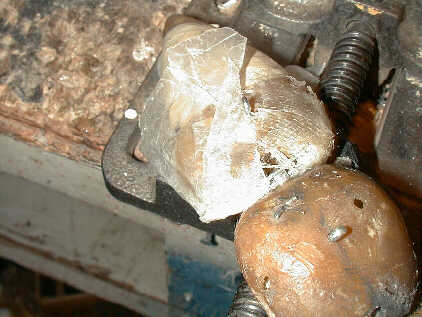 The ear with epoxy and waxpaper.