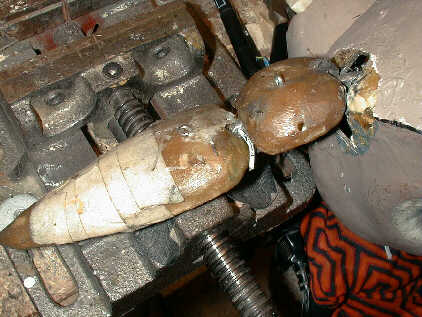 Sungura's ear; closeup without fur.