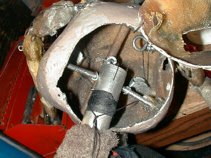 Inside Sungura's head