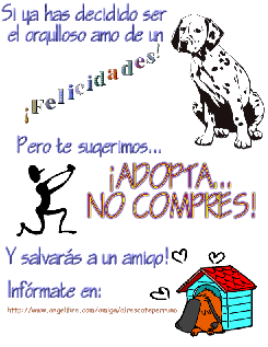 Haz clic para engrandecer