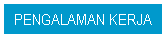 Text Box: PENGALAMAN KERJA