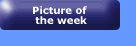 Picture Of The Week