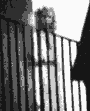 ght.gif - 11878 Bytes