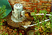 Electric mower