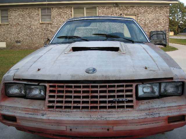 Mustang - Front.JPG (1460070 bytes)